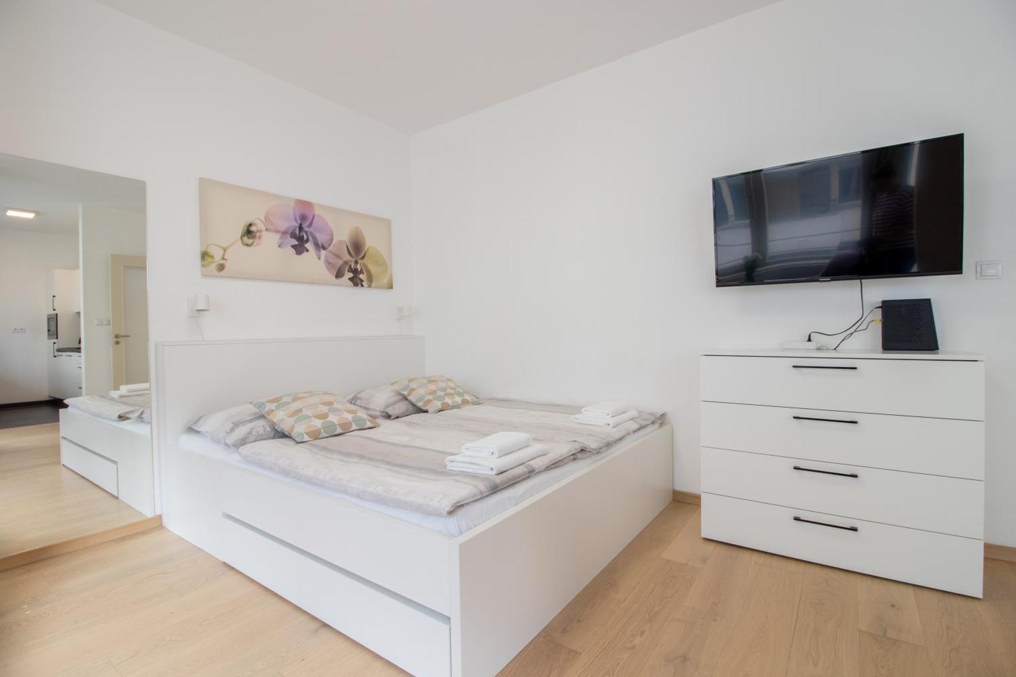 Krakovska Apartmán Prague